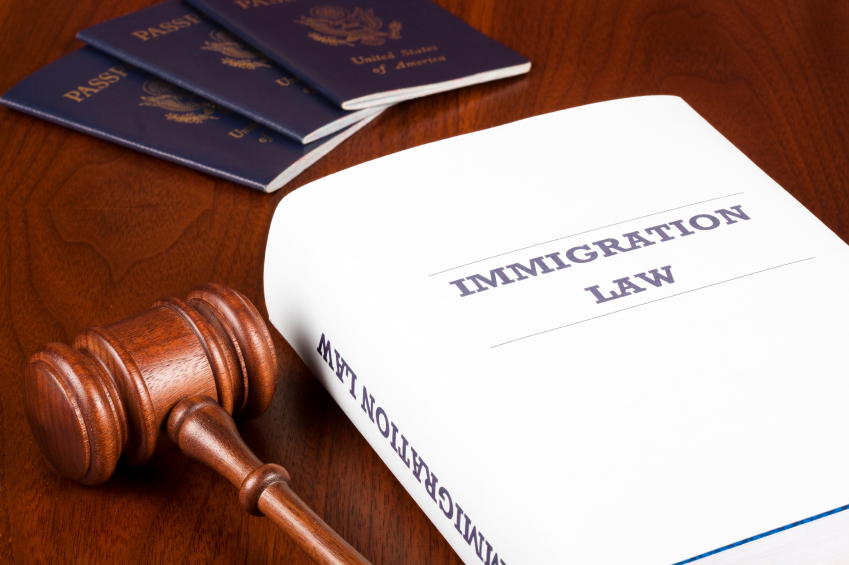 immigration lawyer 