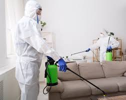 Disinfection Services