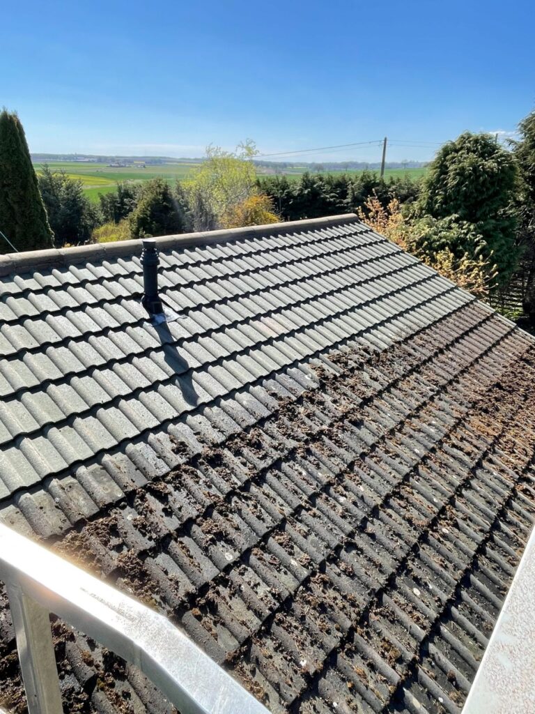 Impact of a Clean Roof