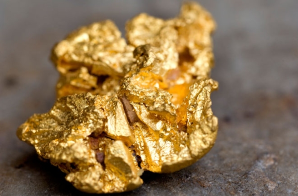 gold prospecting
