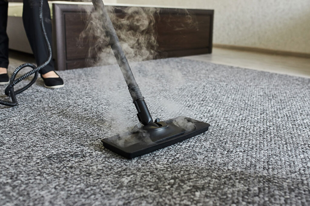 carpet cleaning maidstone