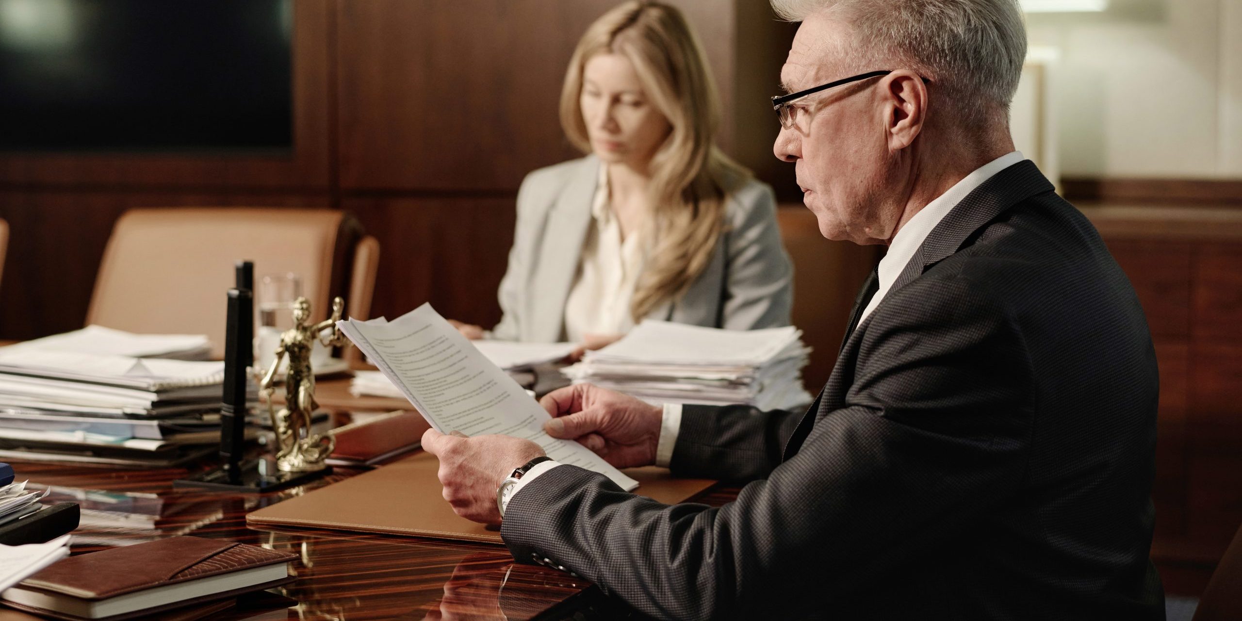 Professional Lawyer