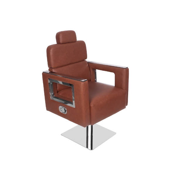 Salon Chair